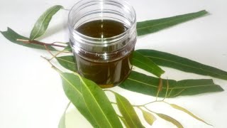 How to Make Eucalyptus oil for Hair Skin amp Cold [upl. by Virgilio]