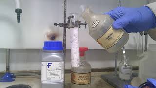 Solid Halides with Concentrated Sulfuric Acid [upl. by Elrak]