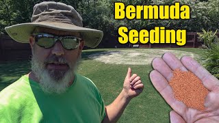 Planting Bermuda Grass Seed [upl. by Otit]