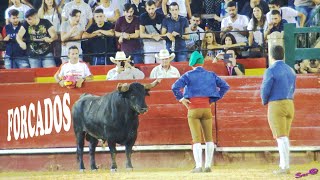 ✅2018 VALENCIA 19 ◾ II Encuentro de Tauromaquias FORCADOS [upl. by Cloots]