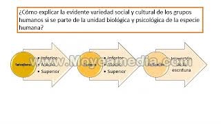 1 EVOLUCIONISMO [upl. by Airdnna]