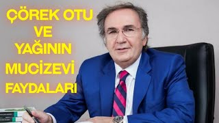 ÇÖREK OTU VE YAĞININ FAYDALARI İBRAHİM SARAÇOĞLU [upl. by Neeneg]