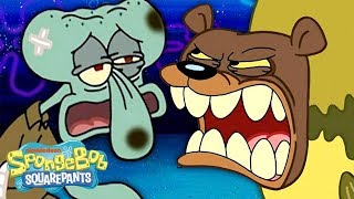 The Sea Bear Attacks Squidward SpongeBob amp Patrick 🐻 SpongeBob SquarePants [upl. by Sayles]