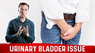 How to STOP BLADDER FREQUENCY  Overactive Bladder 101 [upl. by Arhsub27]