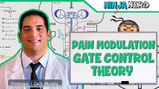 Ascending Tracts  Pain Modulation Gate Control Theory [upl. by Jewell124]