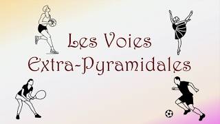 Neurofacile 8  Les voies extrapyramidales [upl. by Eerat656]