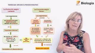 59BiologíaTeorías evolutivas Lamarck y Darwin [upl. by Gratianna]