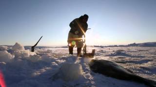 Inuit Culture in Greenland [upl. by Gregor]