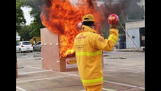 ELIDE FIRE® Extinguishing ball [upl. by Eciruam]