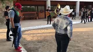 ASI SON LAS FIESTAS DE NARCOS EN SINALOA • MÉXICO 🇲🇽 [upl. by Meredi]