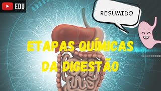 A QUÍMICA DA DIGESTÃO [upl. by Mavilia]