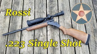 Rossi 223 Single Shot Rifle First Impressions Review [upl. by Nesyla]