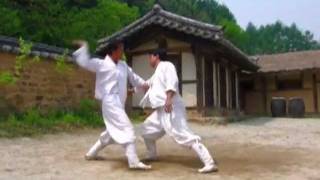 Taekkyeon a traditional Korean martial art [upl. by Erde812]