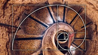 Understanding the Golden Ratio in Digital Art [upl. by Llacam]