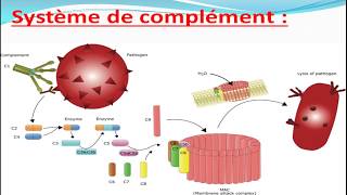 Cours dImmunologie [upl. by Sirehc]