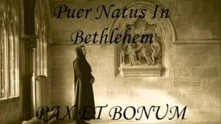 Puer Natus In BethlehemGREGORIAN [upl. by Heilner]