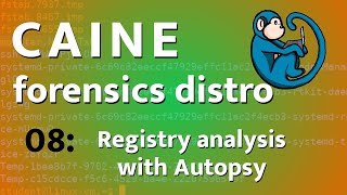 Windows Registry analysis using Autopsy  CAINE  08 [upl. by Lesna]