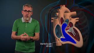 Le fonctionnement du cœur expliqué par Jamy [upl. by Aira]