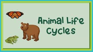 Animal Life Cycles [upl. by Ulrich]