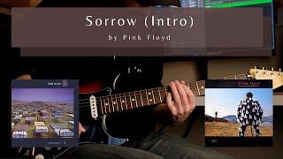 SORROW by Pink Floyd  How to play  Guitar Lesson  Tutorial [upl. by Dlonyer]