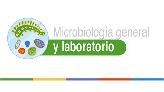 Indentificación bioquímica de microorganismos [upl. by Misab]