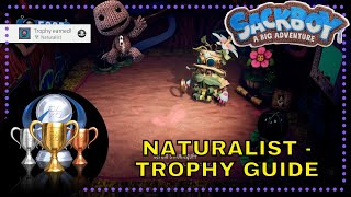 Sackboy A Big Adventure Naturalist  Trophy Guide [upl. by Mitch]