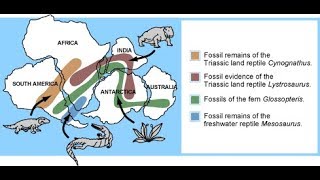 Biogeography [upl. by Chadbourne770]