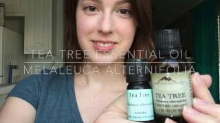 Tea Tree Oil  3 DIY Recipes [upl. by Ahse]