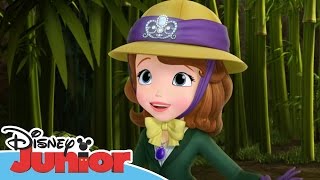 Sofia the First  Stronger Than You Know  Official Disney Junior Africa [upl. by Ahsemed]