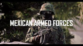 Mexican Armed Forces 2018 [upl. by Annairdua]