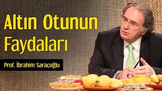 Altın Otunun Faydaları  Prof İbrahim Saraçoğlu [upl. by Avert888]