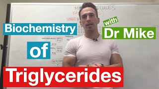 Fatty Acids Glycerol and Lipids  Biochemistry [upl. by Aznaed789]