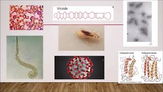 1re clase Microbiologia Introducción [upl. by Tiernan]