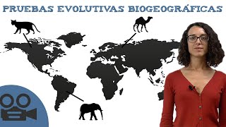 Pruebas evolutivas biogeográficas [upl. by Gati]