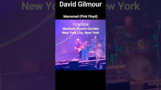 David Gilmour Pink Floyd quotMaroonedquot [upl. by Leacock454]