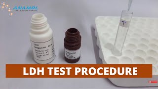 Lactate Dehydrogenase Test  LDH Test Procedure [upl. by Belmonte]