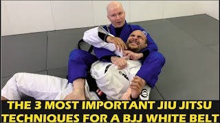 The 3 Most Important Jiu Jitsu Techniques For A BJJ White Belt by John Danaher [upl. by Wilterdink]