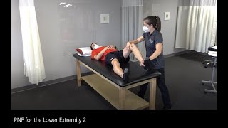 PNF Proprioceptive Neuromuscular Facilitation for the Lower Extremity [upl. by Eissehc]