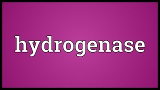 Hydrogenase Meaning [upl. by Apul]