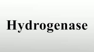 Hydrogenase [upl. by Friend]