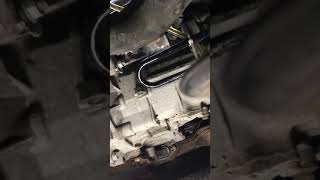 Jetta Manual transmission oil fill [upl. by Nnaesor901]