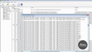 How To Remove Obsolete Or Unwanted Items From Windows Registry by Britec [upl. by Nivrad570]