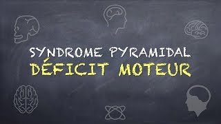 Syndrome Pyramidal  Déficit Moteur [upl. by Sualokin]