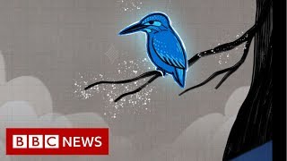 How a kingfisher helped reshape Japans bullet train  BBC News [upl. by Torrence]