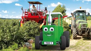 Tractor Ted Juicy Squeezy Episode Trailer [upl. by Jon]