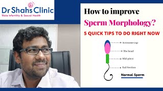 How to improve sperm morphology Dr Shahs Clinic [upl. by Utir]