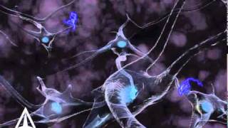 How Neurotransmission amp brain signals work  3D animation [upl. by Earazed420]