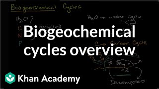 Biogeochemical cycles  Ecology  Khan Academy [upl. by Zola412]