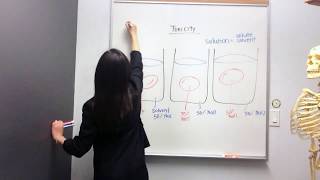 Tonicity Hypertonic Hypotonic and Isotonic Solutions [upl. by Ennaej]