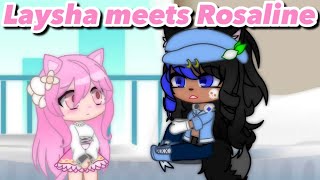 Laysha meets Rosaline [upl. by Alakcim]